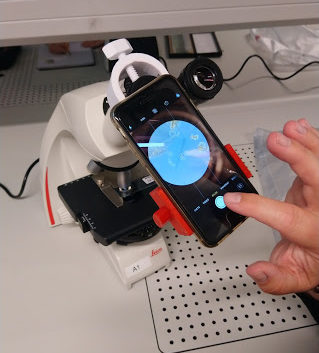 Mobile diagnostics